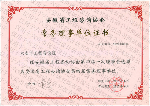 工程咨询协会常务理事单位